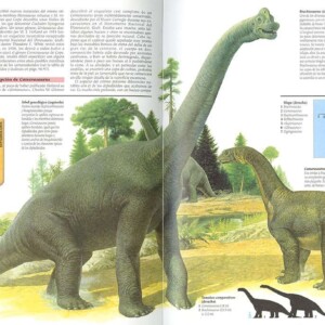 Atlas Ilustrado De Los Dinosaurios Libros Mx