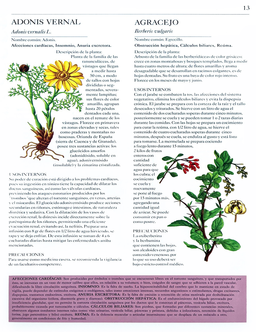 Recetario De Hierbas Y Plantas Medicinales Libros Mx 8382